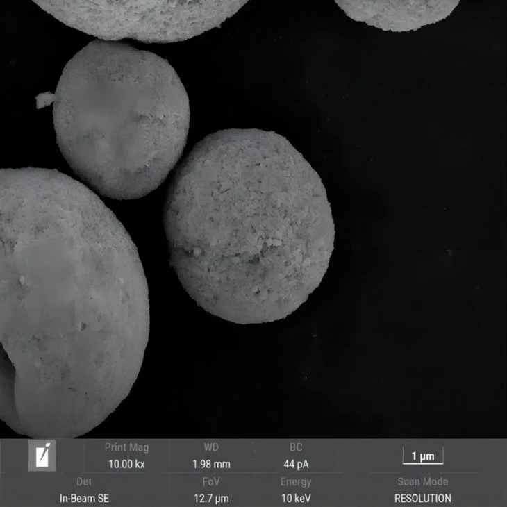 2023091859410661(1)(1)